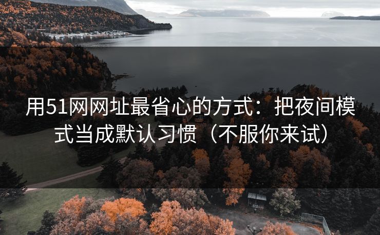 用51网网址最省心的方式：把夜间模式当成默认习惯（不服你来试）